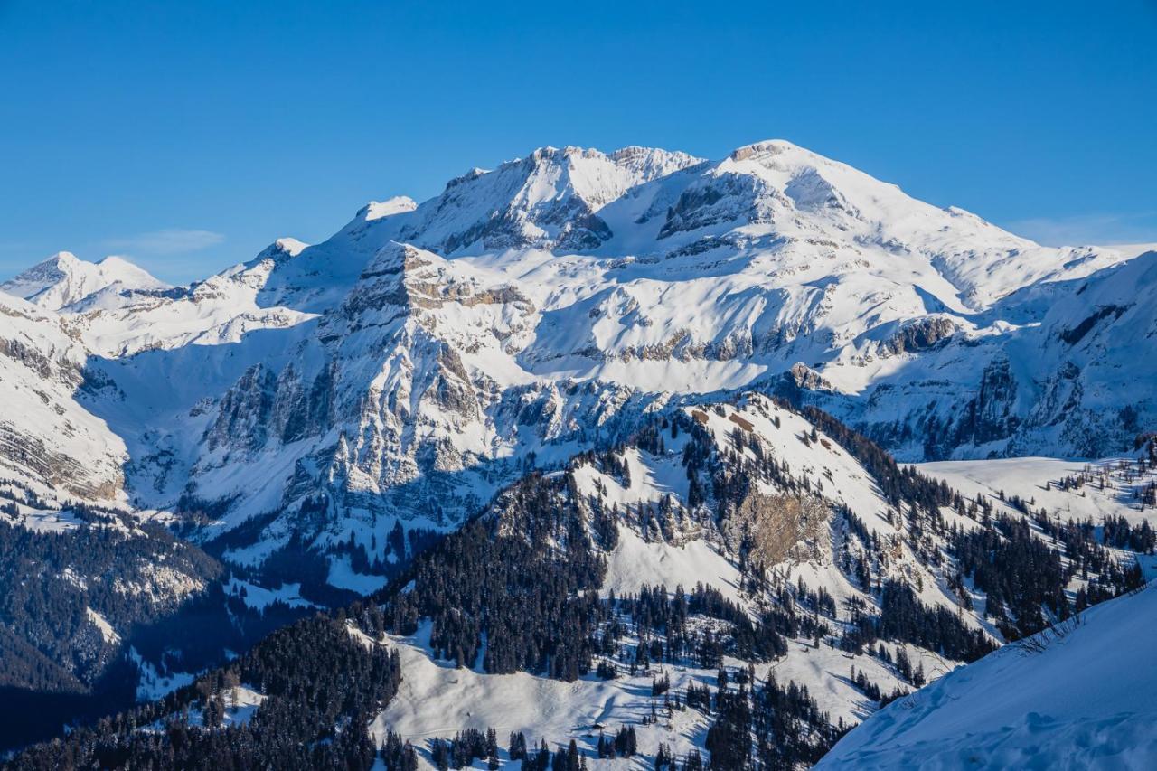 Berghotel Leiterli Lenk Bagian luar foto